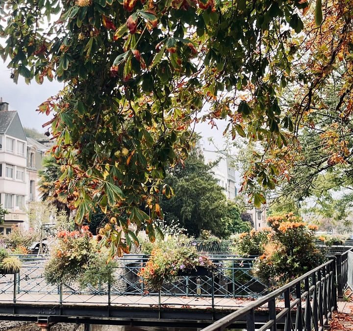 Nul doute, l’automne et ses couleurs sont arrivés  🍂 🍁…