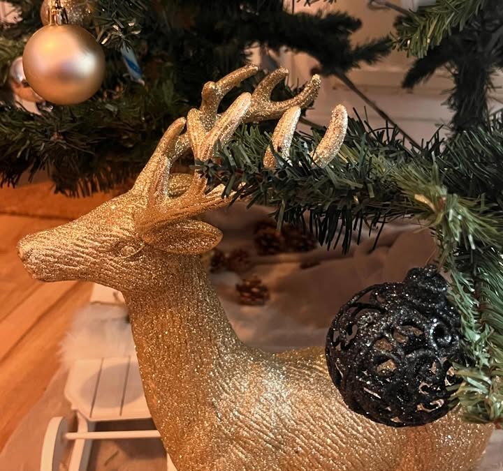 Fermetures exceptionnelles de vos magasins  Les mardis 24 et 30…